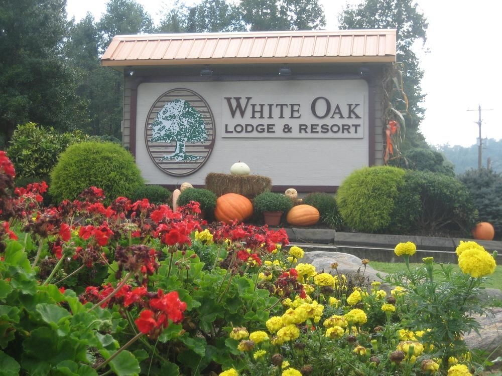 White Oak Lodge And Resort Pittman Center Luaran gambar