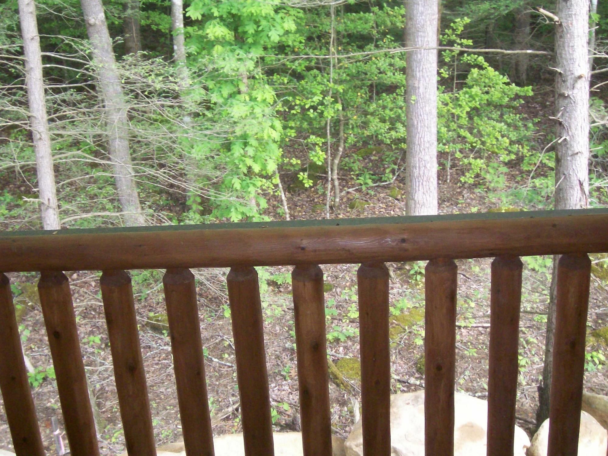 White Oak Lodge And Resort Pittman Center Luaran gambar